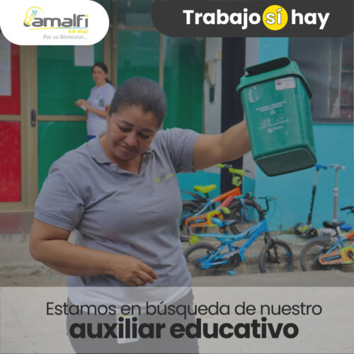 Auxiliar-educativo
